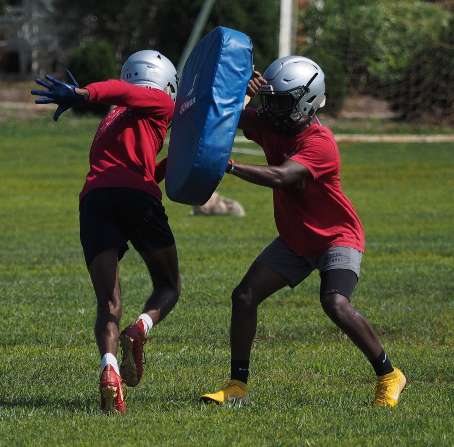 Magna Vista football